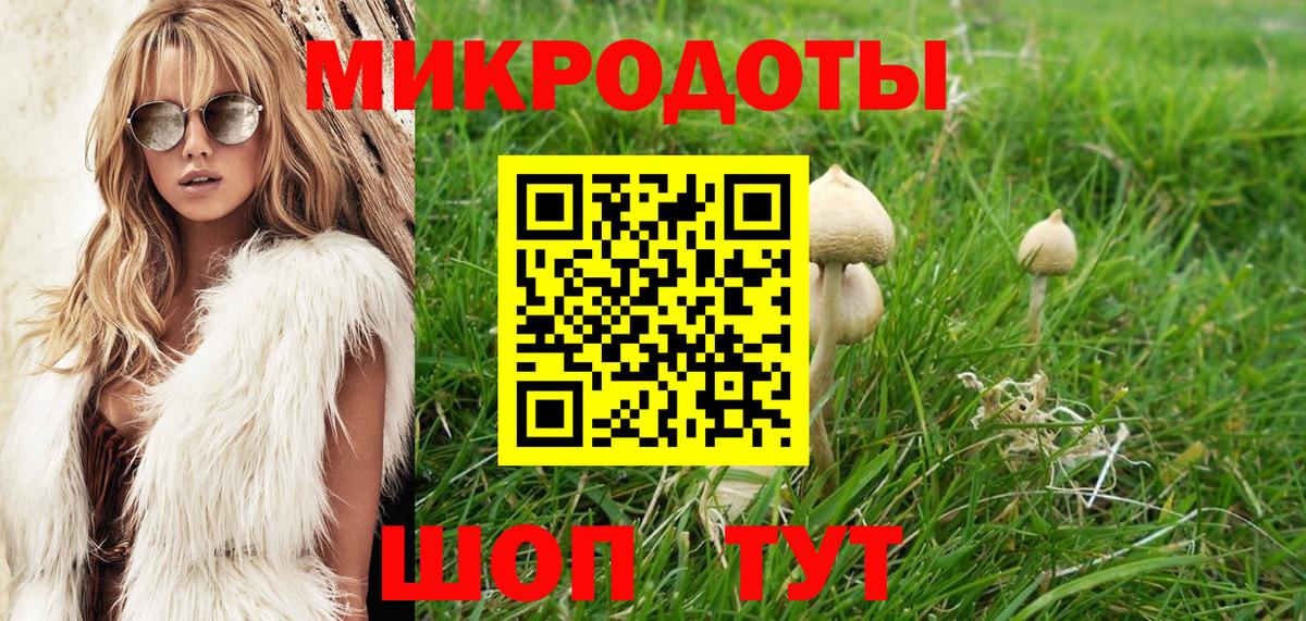 Псилоцибиновые грибы GOLDEN TEACHER  Вход с VPN  Алатырь  цены наркотик  Псилоцибиновые грибы мицелий 
