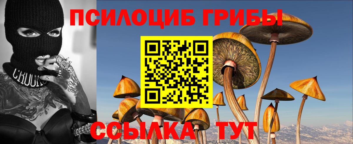 Галлюциногенные грибы Magic Shrooms Алатырь